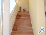 Apartmány Aroma mora *** apartments Croatia