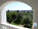 Apartments Paloma blanca apartments Croatia