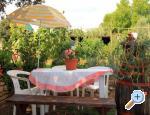 Comfortable Apartment apartments Croatia