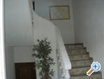 Apartmens Frljak apartments Croatia