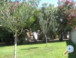 Apartments Suljic family apartments Croatia