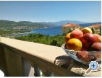 Apartmani Čajić Croatia Hrvatska