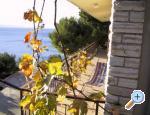 Apartmani JELA apartments Croatia