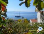 Apartmani NIKO apartments Croatia