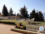 Apartments Vesna apartments Croatia