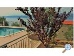Apartments Anisija apartments Croatia