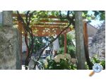 Apartmani Jakov apartments Croatia