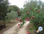 Apartmani Zvjezdana apartments Croatia