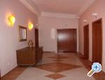 apartmani Blato apartments Croatia