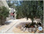 Apartments Dona Pag apartments Croatia