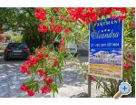 Apartmani Oleandra apartments Croatia