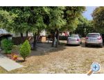 Apartm�ny Ru�ica apartments Croatia