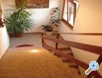Aparmani Žile apartments Croatia
