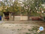 Aparmani Žile apartments Croatia