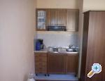 Apartmani Kondriĉ Vinjerac apartments Croatia