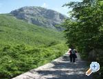 Villa Mirta apartments Croatia