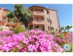 Apartmani Dalmatino Pakoštane apartments Croatia