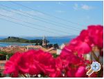 Apartmani Iva apartments Croatia