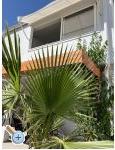 Apartmani Ksenija apartments Croatia