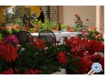 Apartmani Ljubica apartments Croatia