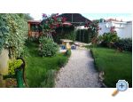Apartmani PIPI Croatia Hrvatska
