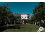 Apartments dalmatia apartments Croatia