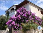 Apartments Sokalo-Petar Croatia Hrvatska