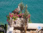 House Vrgada apartments Croatia