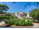 Apartments Pedi�i� apartments Croatia