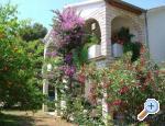 Apartmani Bogeljic apartments Croatia