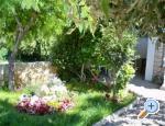 Apartmani Petra apartments Croatia