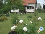 Apartmani Helena apartments Croatia