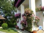 House Pavlic apartments Croatia