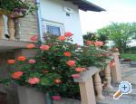 Apartmani i sobe Plitvice Kriz apartments Croatia