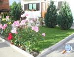 Marjanovi� House apartments Croatia