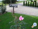 Marjanovi� House apartments Croatia