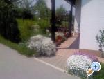 Apartments Marija apartments Croatia