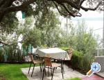 Apartm�n Anu�i� - Makarska riviera apartments Croatia