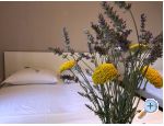 Apartmani Sumi� apartments Croatia