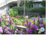 Apartm�ny Draga apartments Croatia