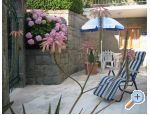 Apartm�ny Draga apartments Croatia