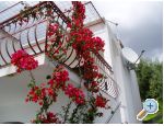 Apartment Vito apartments Croatia