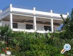 Apartments  Mario apartments Croatia