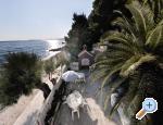 Apartmani i sobe Ksenija apartments Croatia