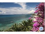 Apartmani Palme apartments Croatia