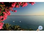 Apartmani Palme apartments Croatia