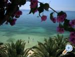 Apartmani Palme apartments Croatia