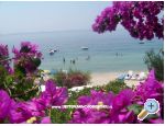 Apartmani Petar Vlasic Croatia Hrvatska