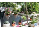 Podstrana - Apartmani Sara Car apartments Croatia