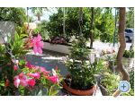 Podstrana - Apartmani Sara Car apartments Croatia